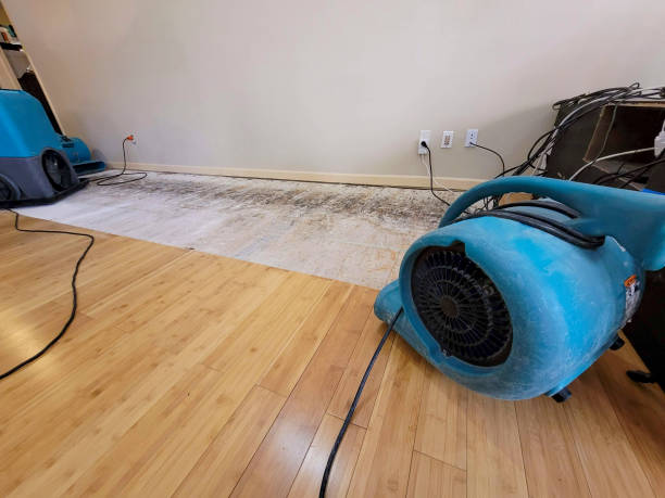 Professional Burst Pipe Water Damage technician working in Erin, TN